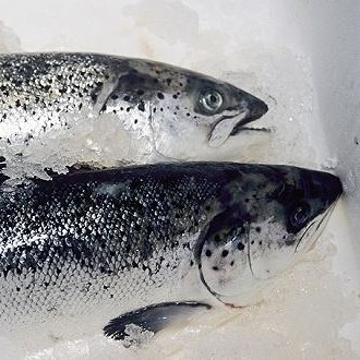 新發地三文魚案板檢測出新冠病毒，，北京多家超市連夜下架三文魚，北京新增三個病例