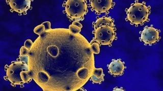 新冠疫情：31個省新增4例，其中北京一例本地新增